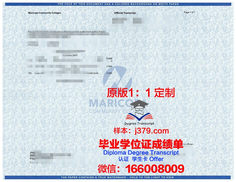 HK Univ学位成绩单定制：探索学术诚信的边界