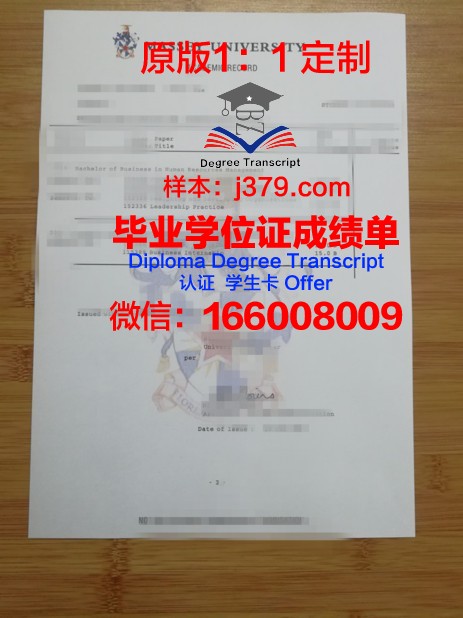HK Univ学位成绩单定制：探索学术诚信的边界