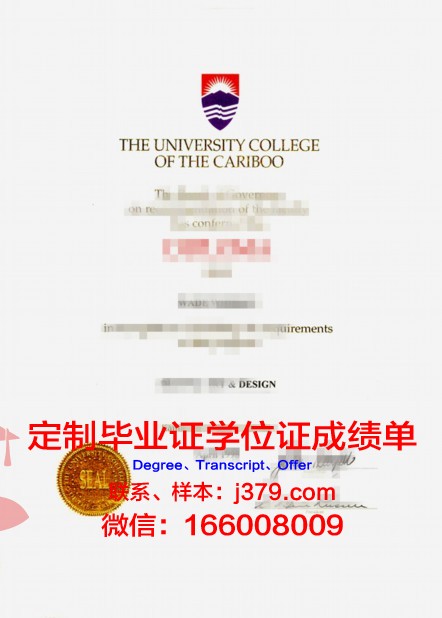 拉贾斯坦大学硕士毕业证书样本(拉贾斯坦的头纱)