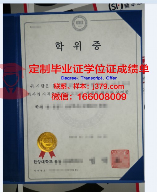 探究国立信息与人工智能大学本科学位证的价值与意义