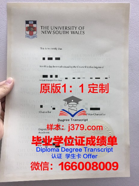 麦当娜大学毕业证高清图(麦当娜属于什么级别)