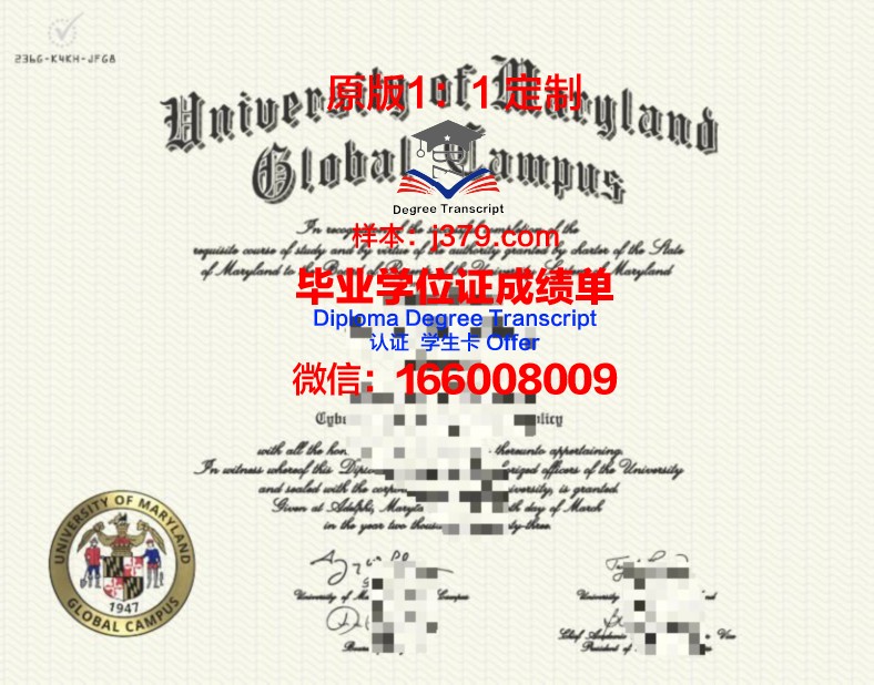 瓦萨大学校园卡(瓦萨学院怎么样)