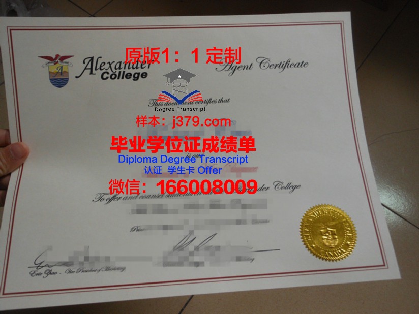 瑚山大学文凭