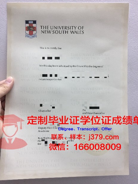 奥卢大学毕业证成绩单：一份承载荣誉与努力的证明
