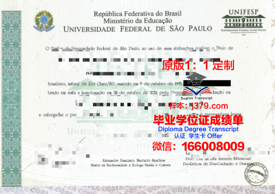 瓦加斯基金会圣保罗经济学院diploma证书(圣保罗瓦斯科达伽马)