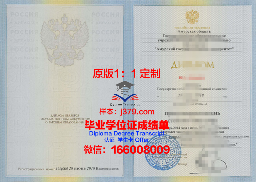 阿穆尔国立大学毕业证书模板(阿穆尔国立大学研究生有用吗)