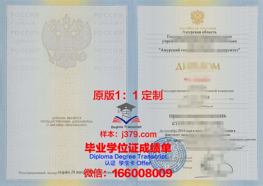 阿穆尔国立大学毕业证书模板(阿穆尔国立大学研究生有用吗)